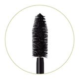 Large Lash Mascara