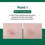 VT - Cica Care Spot Patch